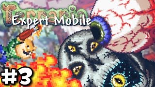 ОТЖАРИЛ СКЕЛЕТРОНА И ГЛАЗ КТУЛХУ // #3 - ПОДРЫВНИК // TERRARIA ANDROID/IOS
