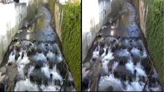 FullHD 50p Vergleich zwischen Panasonic DMC-TZ31EG-K und Sony DSC-HX20VB Cyber-shot als Splitscreen