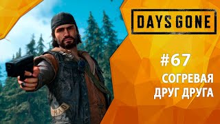 Прохождение Days Gone #67 - Согревая друг друга