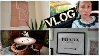 INCA***TA NERA!! | LITIGIO in diretta! | La Mia NUOVA GALLERY WALL ||| Vlog |||