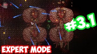 КАК УБИТЬ МОЗГ КТУЛХУ В ЭКСПЕРТ МОДЕ (Terraria 1.3.3.2-1.3.4.4)(Terraria expert)(Brain of Cthulhu)