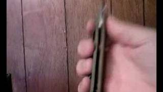 Spyderco Para Military D2 C81FG