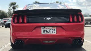 Mustang ecoboost quad exhaust cold start!