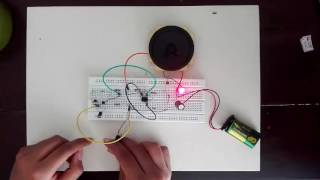 Experimento 19 repelente ultrasonido de plagas
