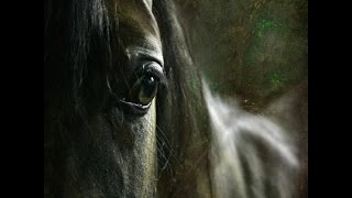 Максим Аверин исполняет "Хорошее отношение к лошадям"