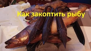 Как закоптить рыбу