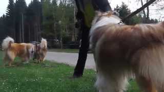 Benny & Thai im April 2014