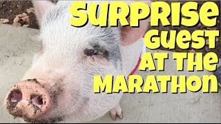 Chloe Goes to the Marathon