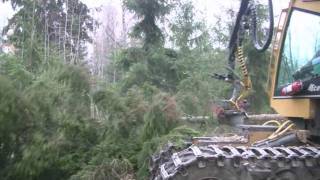Eco Log 560B & Husqvarna 560 XPG