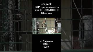  ЭкоПарк Харьков ч.69 / ПИР продолжается для ОБЕЗЬЯНОК / 2018 г. #shorts