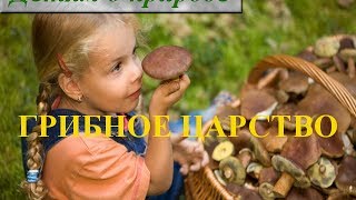 Царство грибов 2 класс ☂ Информация о грибах для детей