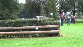 CIC**/* Varsseveld 2015