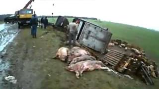 Авария под Брянском