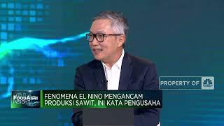Fenomena El Nino Ancam Produksi Sawit, Ini Kata Pengusaha