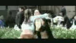Girls fighting