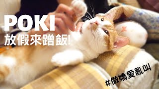 Poki 貓咪放假來蹭飯 ｜ Poki cat come for free meal on vacation.【貓咪】