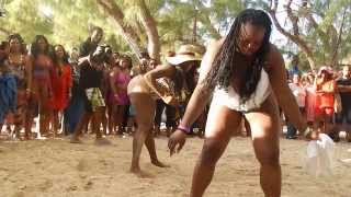Four Season Party Cruise 2013 DJ Roy and Glamma Wayne One Drop beach party