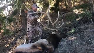 Nevada hunts in 2019