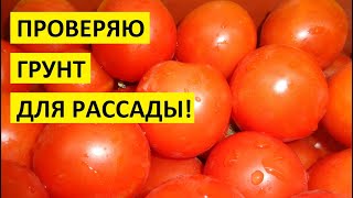 Грунт для рассады "подозрительно" дешевый! Можно ли покупать почву для рассады в магазинах Светофор?