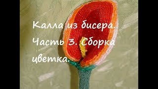 Калла из бисера мастер класс. Часть 3.  Сборка цветка