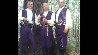 nemuritorii -cantec pentru primar
