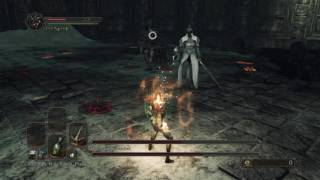 Dark Souls 2 SOTFS: SL1 All Bosses - Throne Watcher and Throne Defender