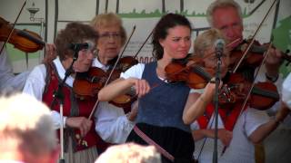 Nelson Cultural Center Grand Öpening Celebration at the American Swedish Institute
