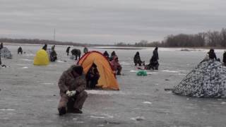 г.Волжский , зимняя рыбалка на р. Ахтуба о.Зеленый 10.03 2013г.
