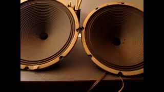 Vintage 12" Alnico Organ Speakers