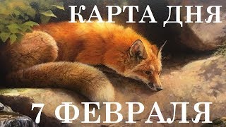 КАРТА ДНЯ 7 ФЕВРАЛЯ ГОРОСКОП ТАРО