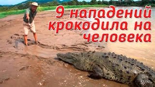 9 реальных нападений КРОКОДИЛА НА ЧЕЛОВЕКА