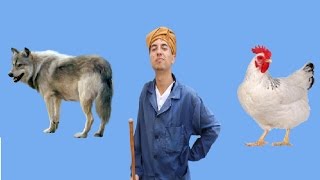 Le phénomène Takli Ljaj تاكلي الجاج اااااه  - Chemsou Blink