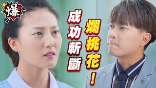 《多情大爆爆》多情城市 EP248 成功斬斷 爛桃花！