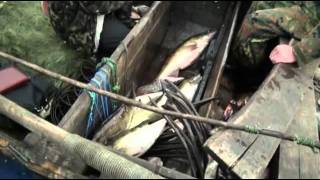 Это просто праздник какой-то! - часть 4