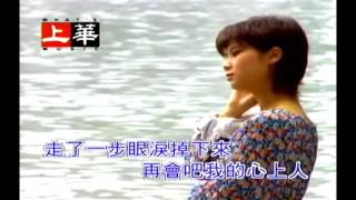 韓寶儀 再會吧! 我的心上人 涼山情歌/龍泉情歌 【KARAOKE】Han Bao Yi『ZAI HUI BA WO DE XIN SHANG REN』80年代情歌天後百萬暢銷山地情歌精選新馬歌後華語