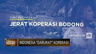Indonesia "Darurat" Koperasi!