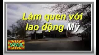 Định cư Mỹ, câu chuyện đi làm hãng.