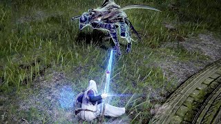 Bloodhounds Fang VS Carian Slicer - Elden Ring