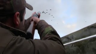 Goose hunting scotland best of shots Compilation  !!