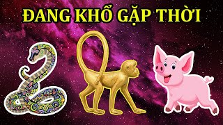 GIỚI THẦN HỌC CHẤN ĐỘNG, 3 CON GIÁP ĐANG KHỔ GẶP THỜI, CHUYỂN VẬN GIÀU SANG NỨT VÁCH