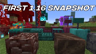 Minecraft News: First 1.16 Snapshot