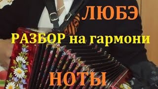 Любэ - "Березы" РАЗБОР НА ГАРМОНИ