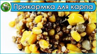 Прикормка для ловли карпа