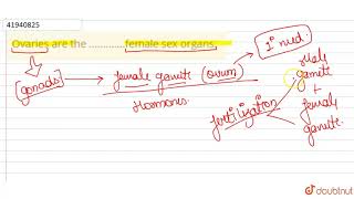 Ovaries are the .............female sex organs.