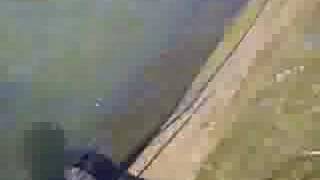 pesca