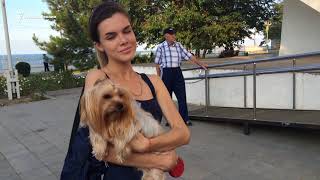В Махачкале на концерте собирали деньги на приют бездомным животным