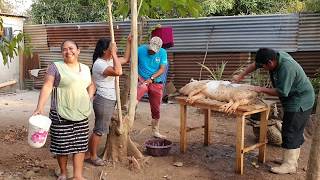 Conoce A Toda La Familia De Mi Esposa  Mira Como Convivimos?