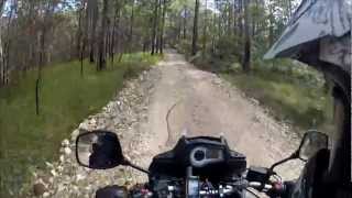 2012 Suzuki DL650A Vstrom Light Offroading at Mt Mee