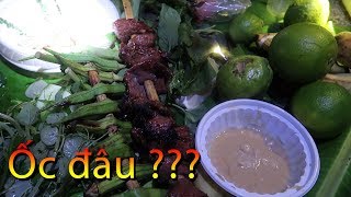 Leo núi Bà Đen săn ốc núi phần 2