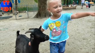 ✔ VLOG Девочка – Сюрприз Зоопарк Видео для детей Ярослава кормит животных Серия 6 ✔